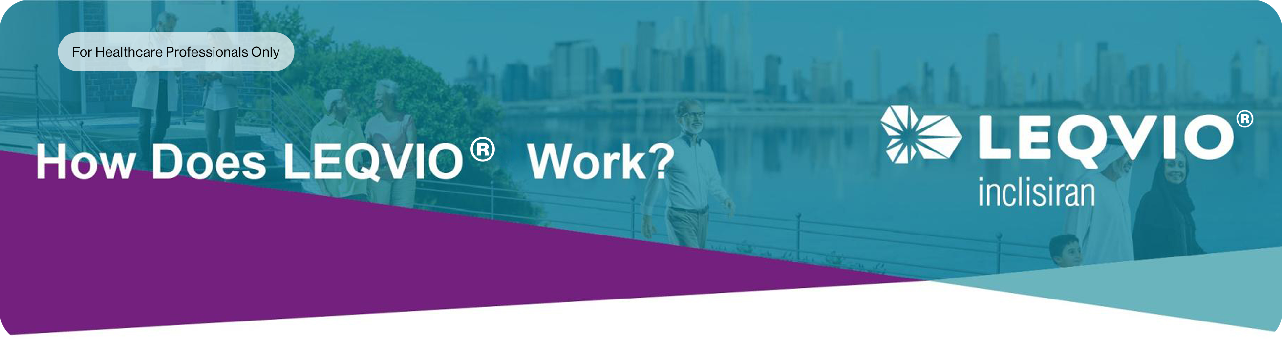 Group 24447.png Group 24447.png