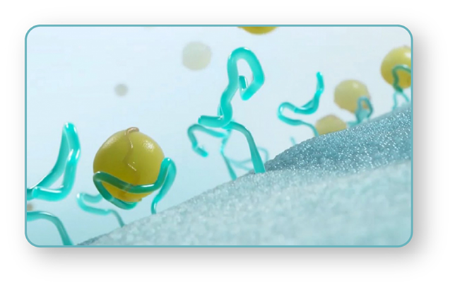 image 5.png image 5.png