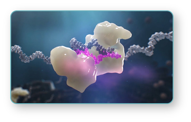 image 6.png image 6.png