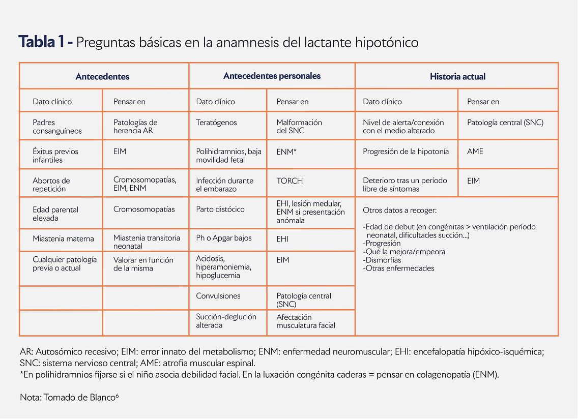 Cuadro comparativo Cuadro comparativo
