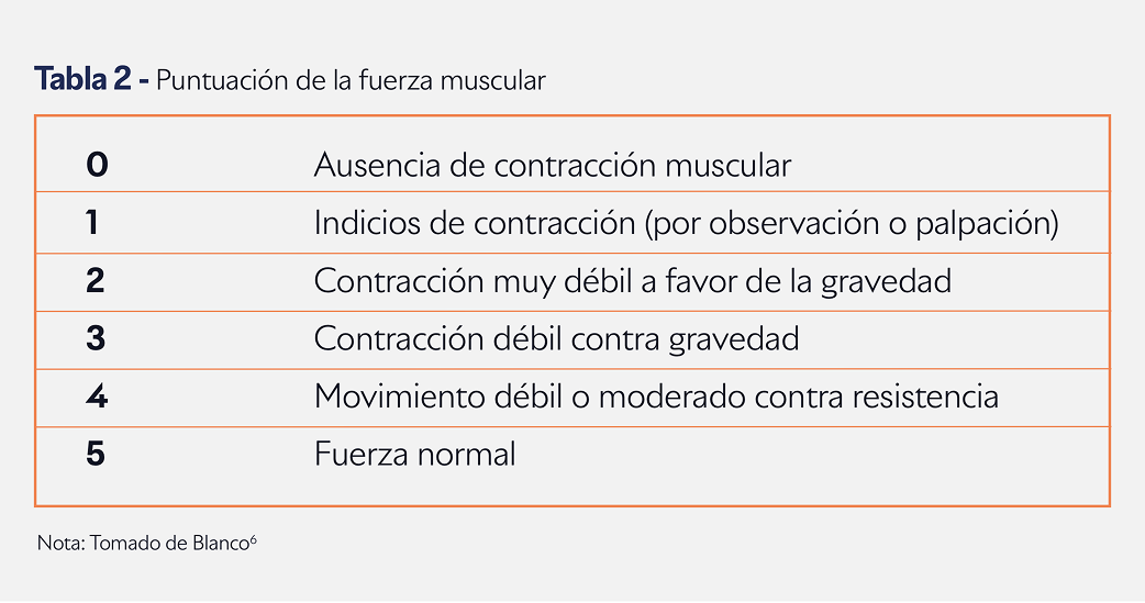 Cuadro comparativo Cuadro comparativo
