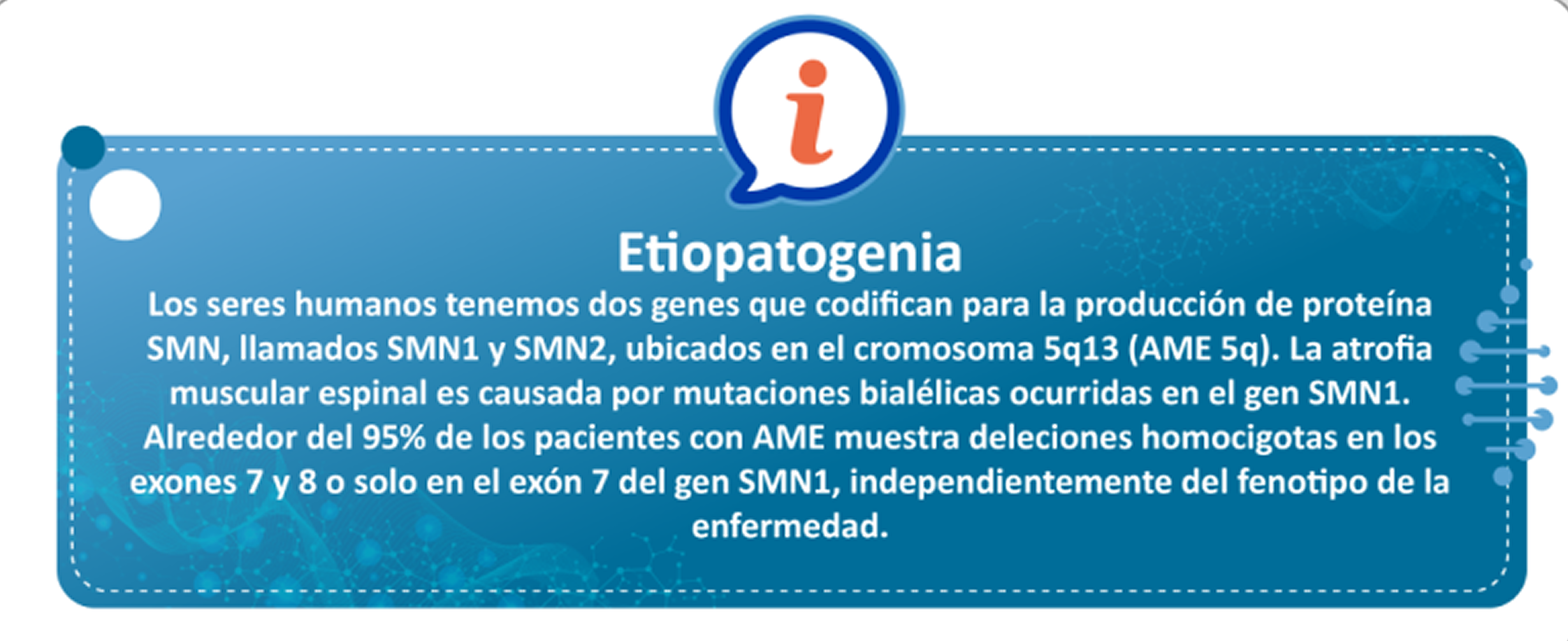 Gráfico Gráfico