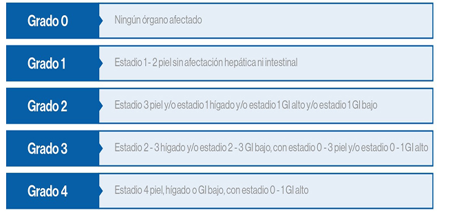 Gradación global de la EICHa según sistema MAGIC Gradación global de la EICHa según sistema MAGIC