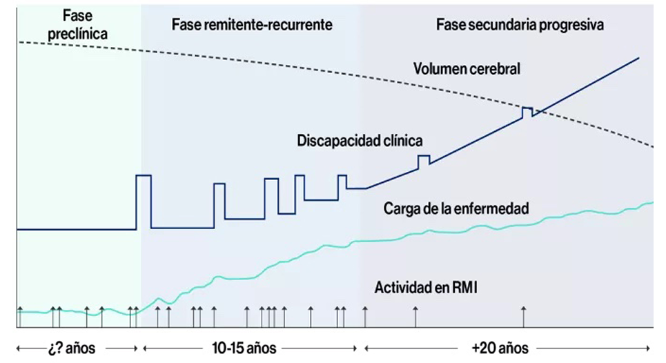 Neurologia_NoPromo_NA_FasesNeuro_Imagen_962x526 analisis fases