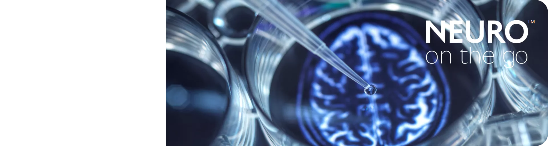 Shape 5 - Set 1B - 2.png.png