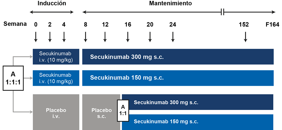 MEASURE_3_Estudio MEASURE_3_Estudio