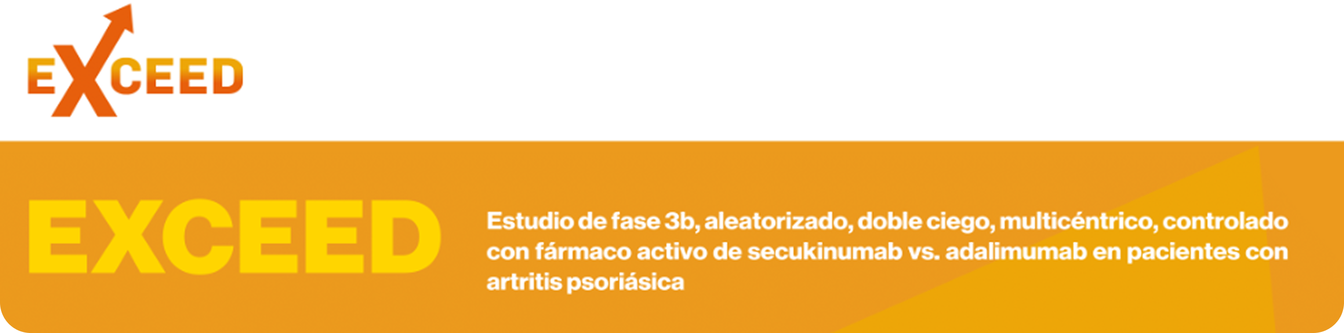 Estudio_EXCEED Estudio_EXCEED