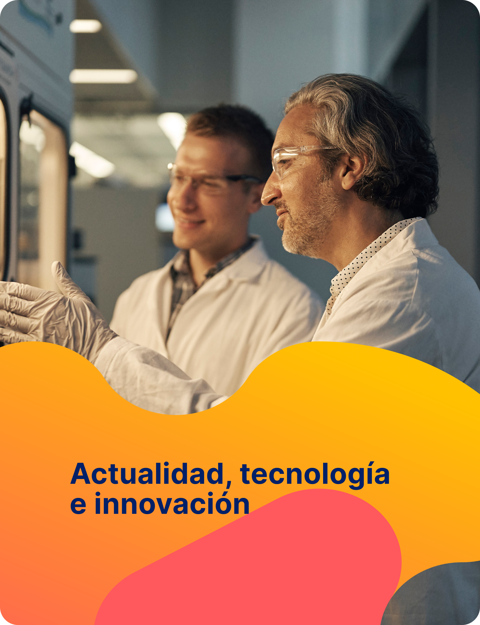 Novedades Novedades