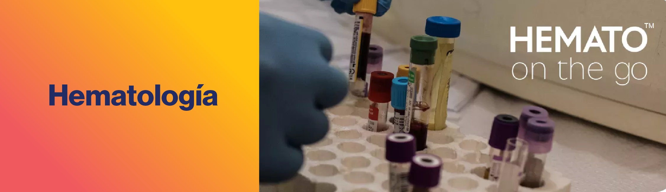 Banner Hemato
