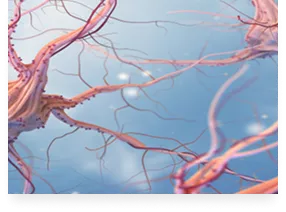 Neurologia_NoPromo_ColumbusLogo_Imagen_965x526