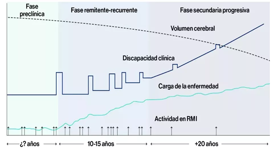 analisis fases