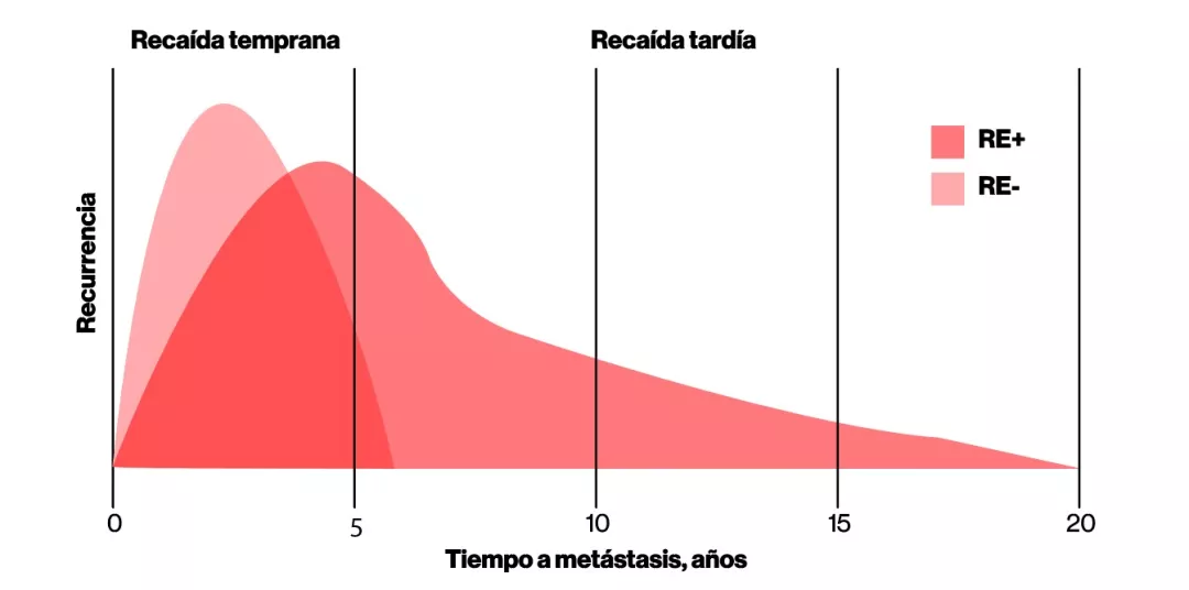 Captura de pantalla 2025-06-03 211058.jpg