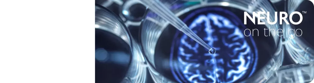 Shape 5 - Set 1B - 2.png.png