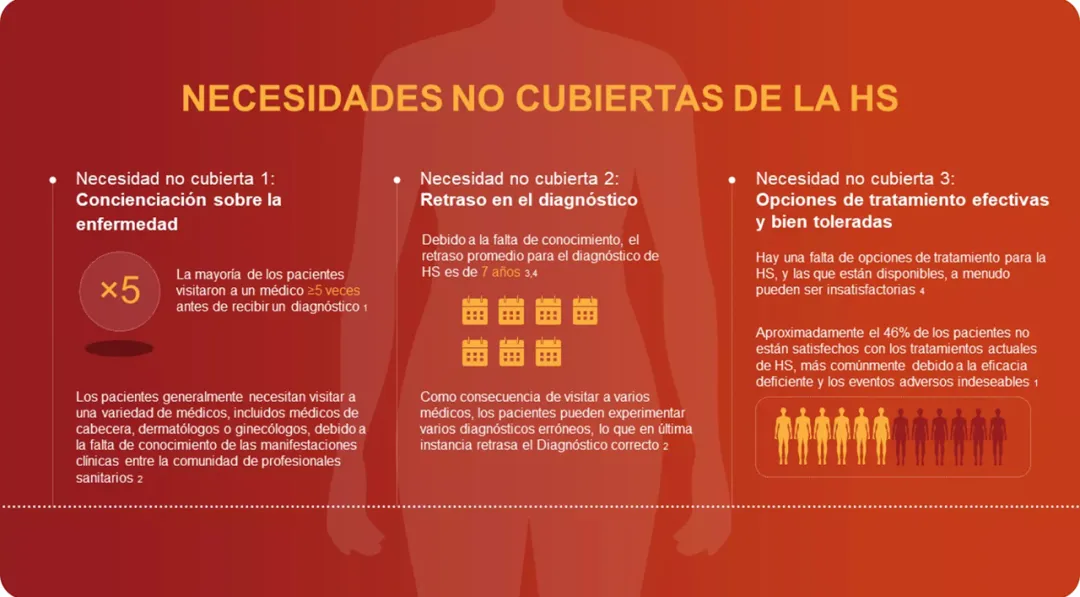 NecesidadesNoCubiertas