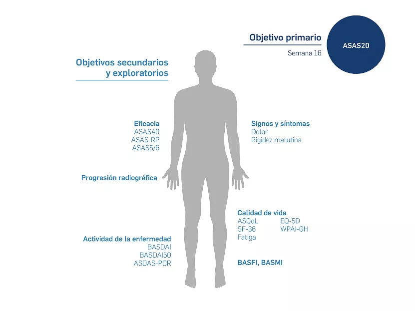 MEASURE_1y2_Objetivo