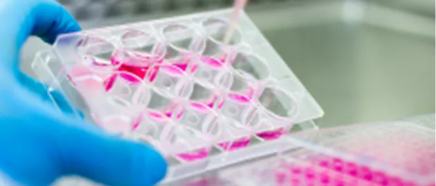 Nanotecnología para mejorar tratamientos