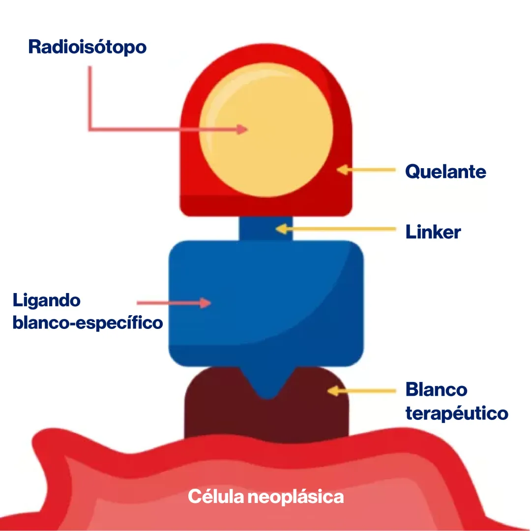 radioligand_Mesa de trabajo 1_Mesa de trabajo 1.png