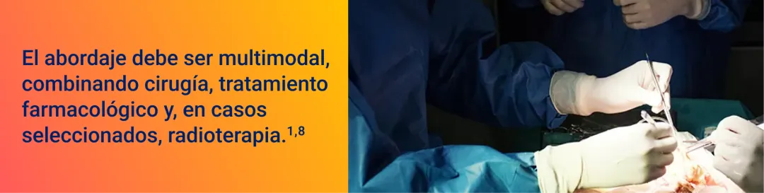 El abordaje debe ser multimodal, combinando cirugía, tratamiento farmacológico y, en casos seleccionados, radioterapia.