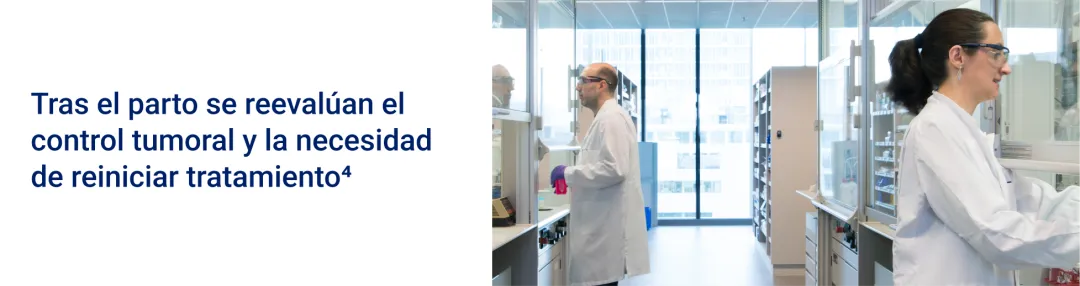 Tras el parto se reevalúan el control tumoral y la necesidad de reiniciar tratamiento