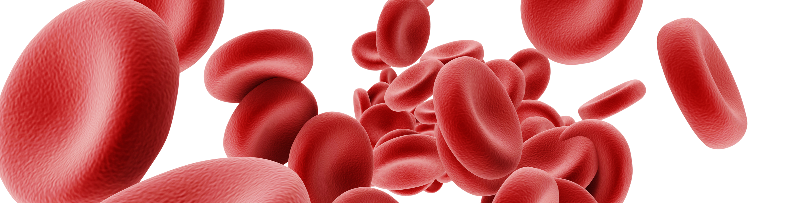 Hämatologie Rote Blutkörperchen