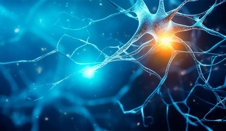 Teaser MS Expertenstatement