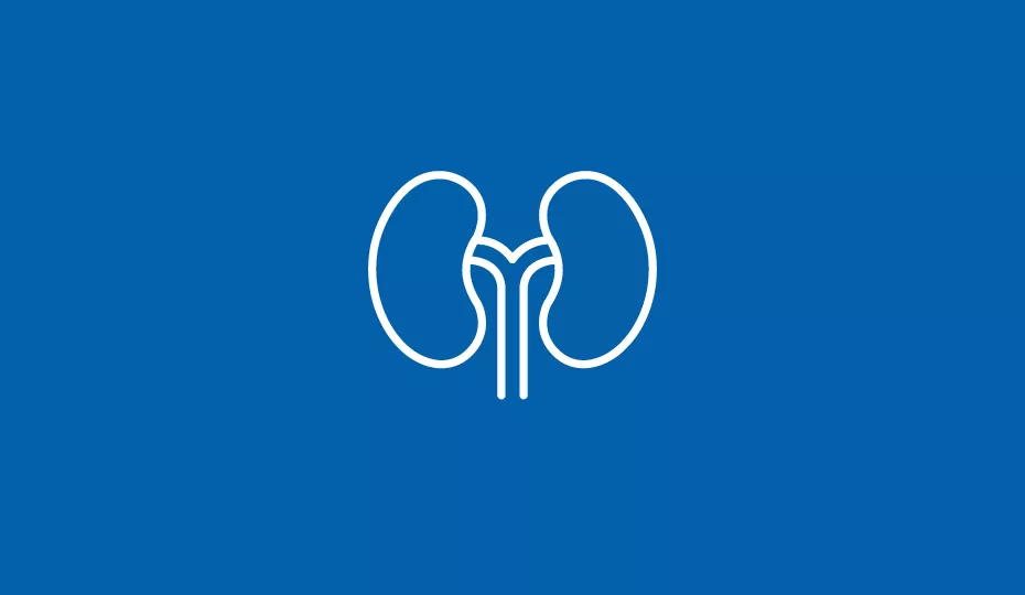 Icon Nierenkrankheiten