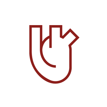 Heart anatomy icon