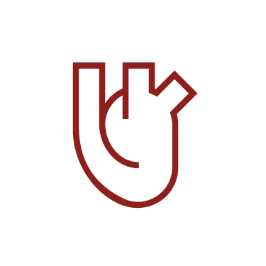Heart anatomy icon