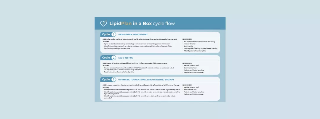 Lipid Plan in a Box Cycle Flows