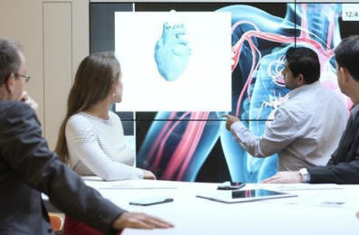 Presentation about cardiovascular health, using a large screen displaying 3D anatomical model