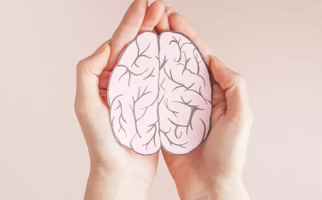 lllustration of hands holding a brain