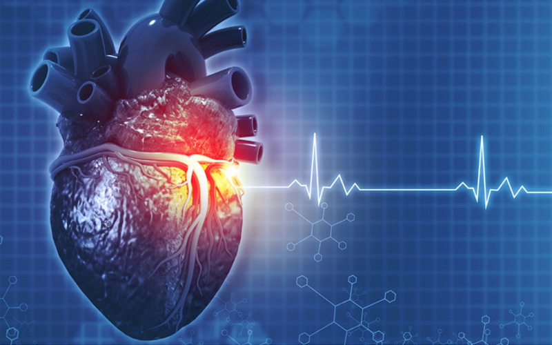 img-entresto-passo-a-passo-icefep-topo