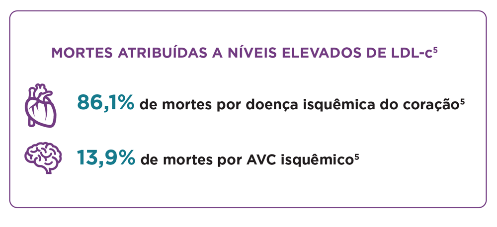 img-sybrava-estudo-orion11-1