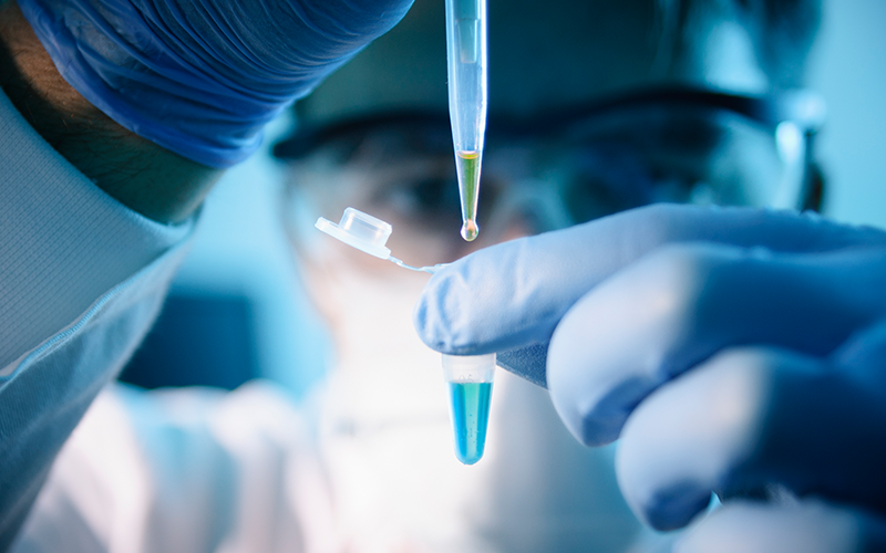 img-sybrava-estudo-victorion-initiate-topo