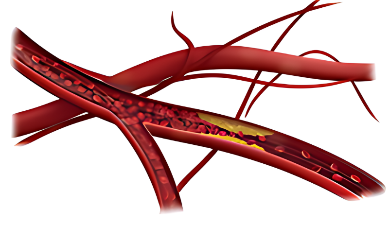 img-topo-educacao-no-tratamento-ic-entresto