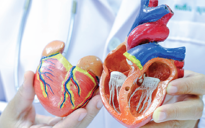 img-entresto-importancia-rapida-otimizacao-do-tratamento-topo