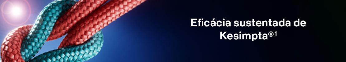 bannerpgprodutos-200-kesimpta1 bannerpgprodutos-200-kesimpta1