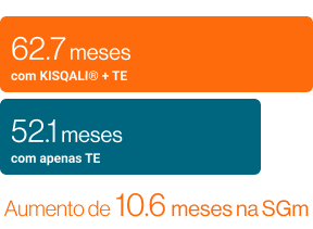 TE em 1L - evidências - mobile