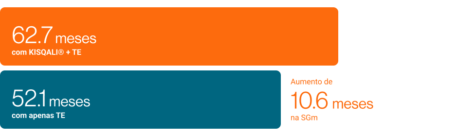 TE em 1L - evidências