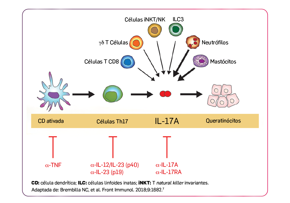 img-cosentyx-resposta-clinica-reversao-molecular-01