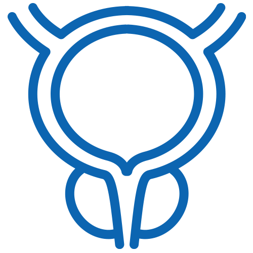 Ícone anatômico da bexiga e próstata representando o sistema urinário masculino.