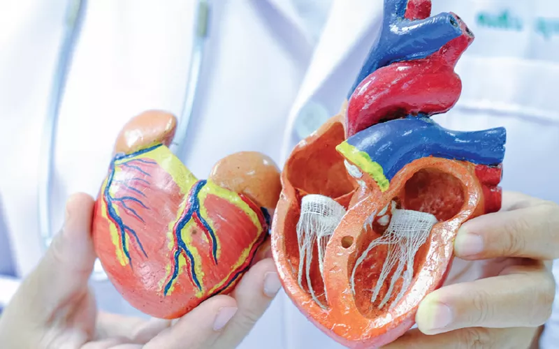 img-entresto-importancia-rapida-otimizacao-do-tratamento-topo