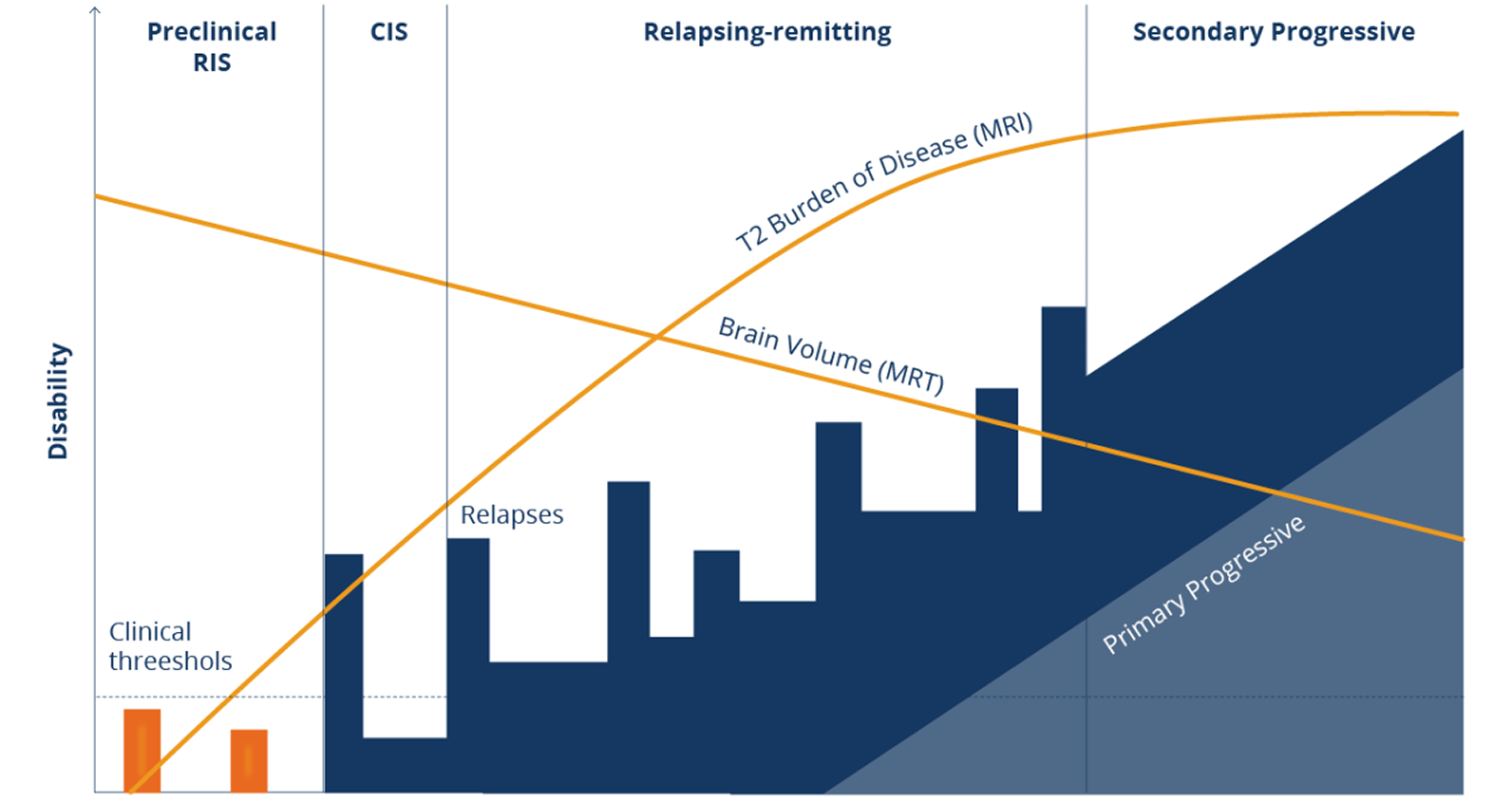 Die verschiedenen Formen und Stadien der MS Die verschiedenen Formen und Stadien der MS