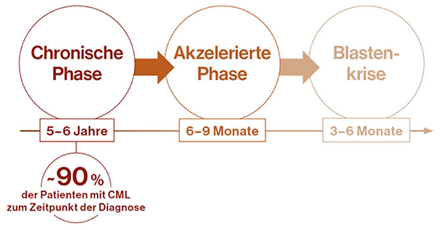 Abbildung 1: Durchschnittliche Dauer der Krankheitsphasen der CML