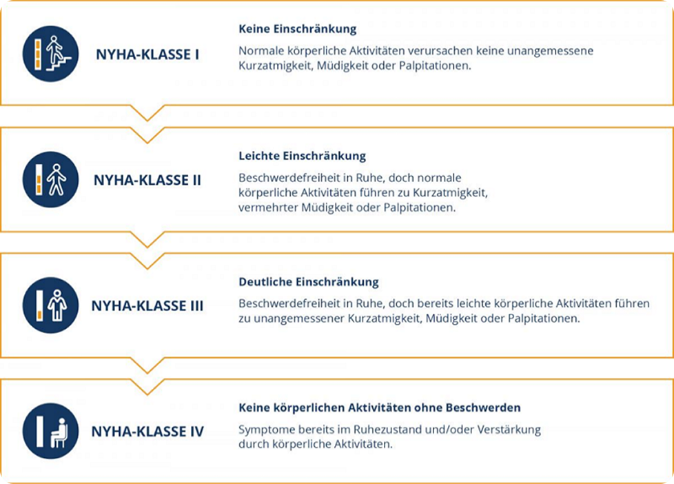 Klassifizierung im Uberblick Klassifizierung im Uberblick