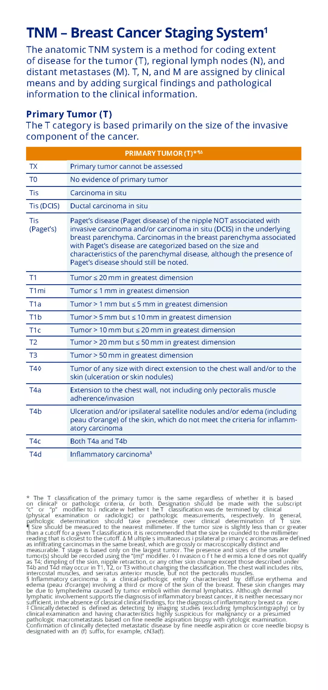 Kostenlos den Staging-Leitfaden