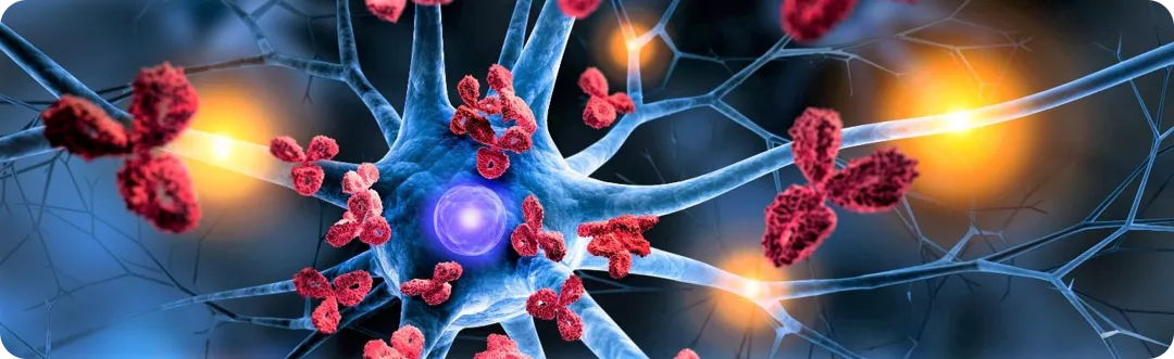 Multiple Sklerose (MS)