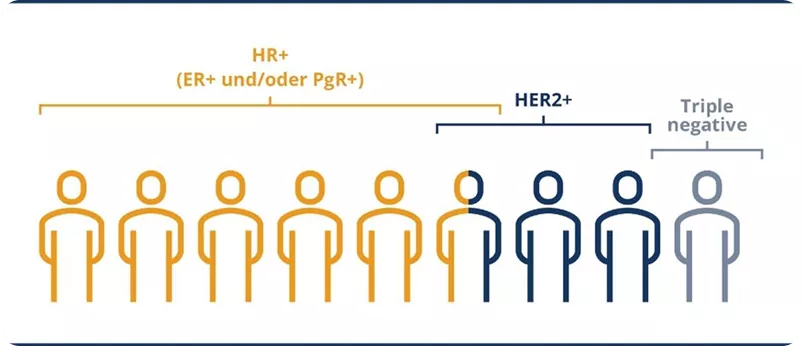 Klassifikationssysteme