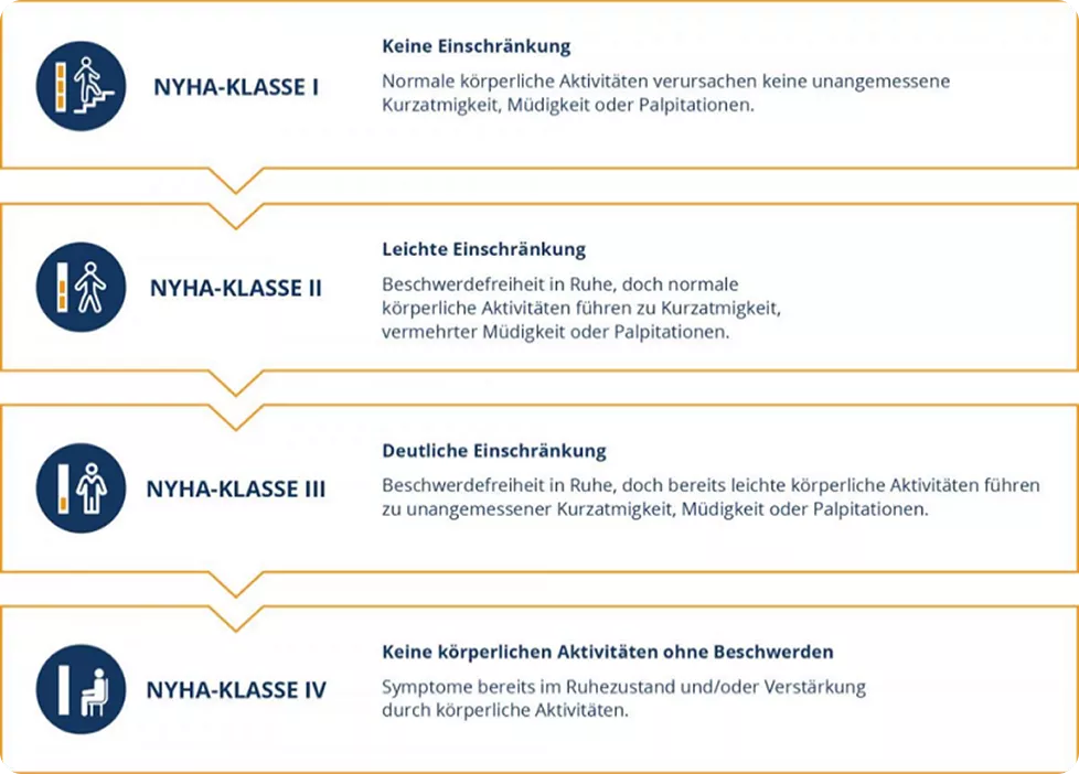 Klassifizierung im Uberblick