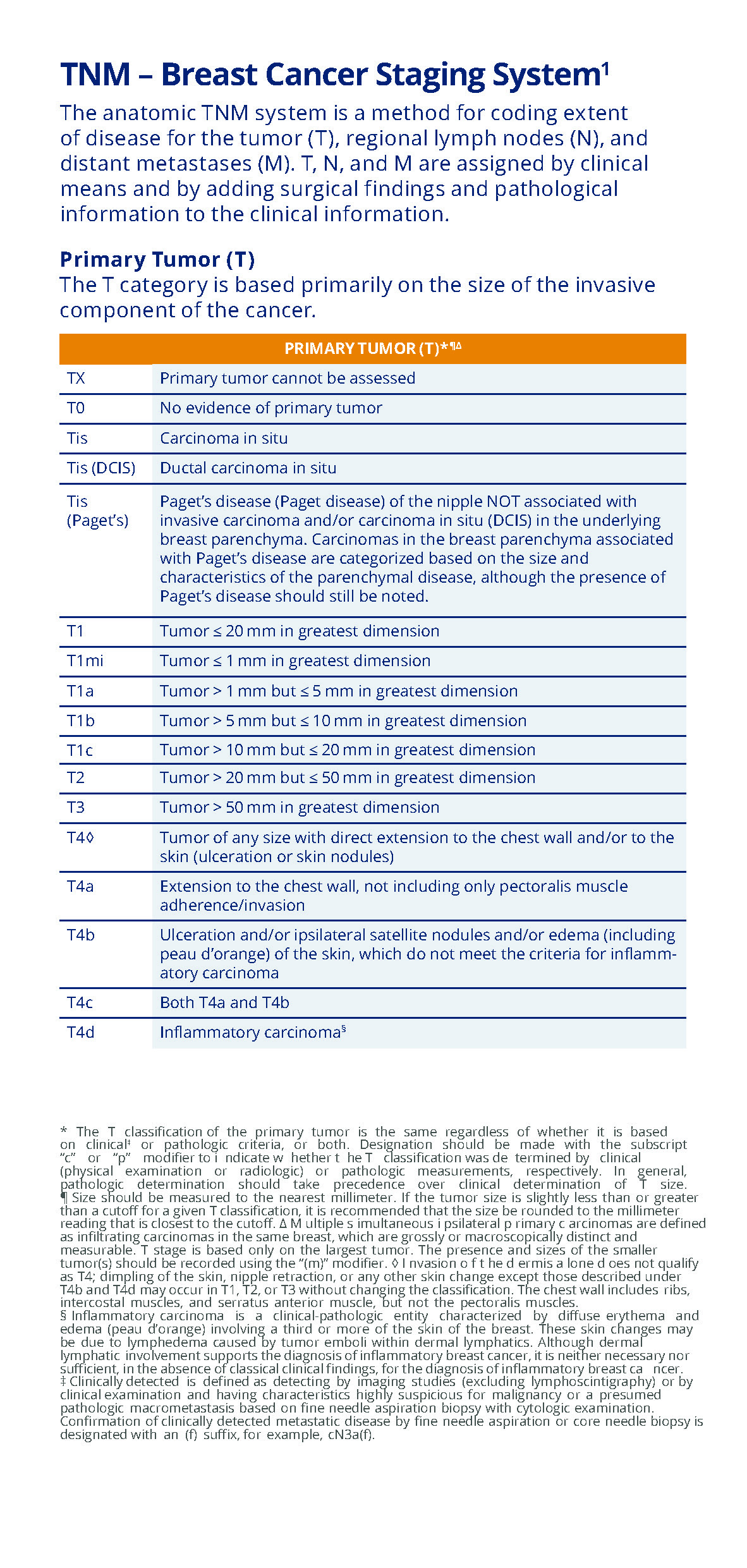 Kostenlos den Staging-Leitfaden